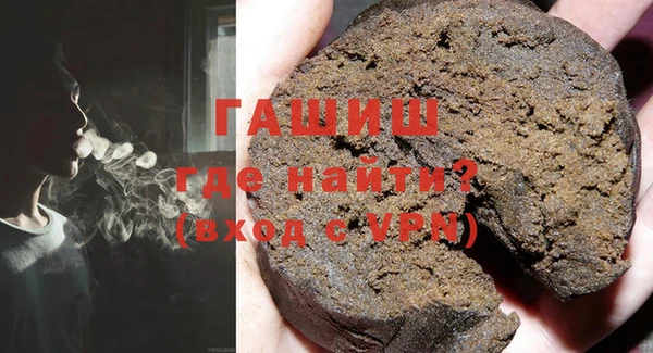 шишки Няндома