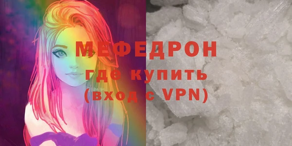 шишки Няндома