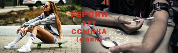 шишки Няндома