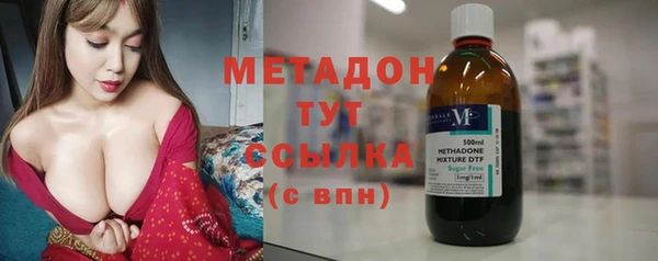 шишки Няндома