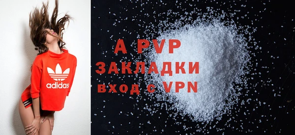 спиды Новодвинск