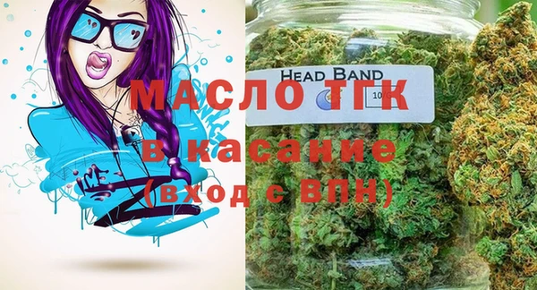 шишки Няндома