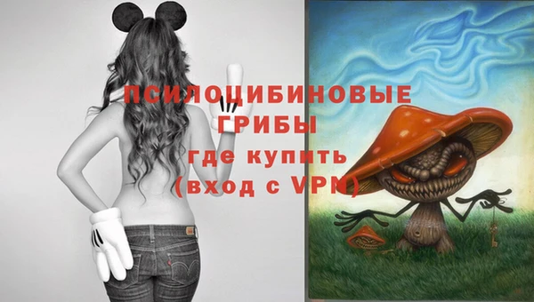 спиды Новодвинск