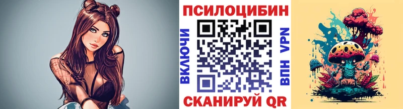 Галлюциногенные грибы Magic Shrooms  OMG ТОР  Богородск  что такое наркотик 