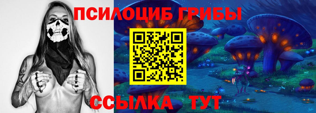 Псилоцибиновые грибы MAGIC MUSHROOMS Богородск